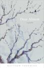 Dear Almost - Preview