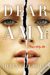 Capa do artigo Dear Amy