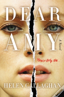 Capa do artigo Dear Amy
