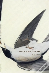 Dear Apocalypse