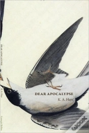 Capa do artigo Dear Apocalypse