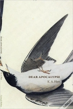Capa do artigo Dear Apocalypse
