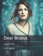 Dear Brutus - Preview
