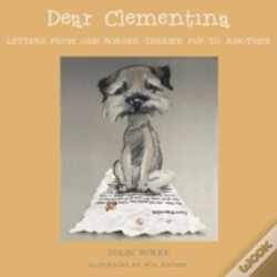 Capa do artigo Dear Clementina