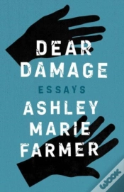 Capa do artigo Dear Damage