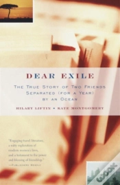 Capa do artigo Dear Exile