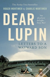 Capa do artigo Dear Lupin...