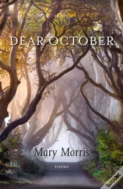 Capa do artigo Dear October