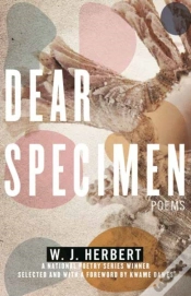 Capa do artigo Dear Specimen