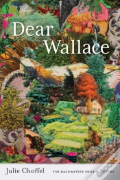 Capa do artigo Dear Wallace
