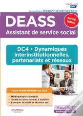 Deass - Dca Dynamiques Interinstitutionnelles, Partenariats Et Reseaux