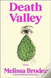 Capa do artigo Death Valley