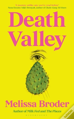 Capa do artigo Death Valley