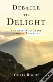 Capa do artigo Debacle To Delight