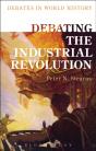 Debating The Industrial Revolution - Preview