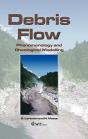Debris Flow - Preview