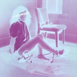 Capa do artigo Debris - Vinil