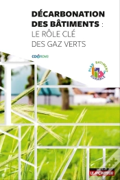 Capa do artigo Décarbonation Des Bâtiments : Le Rôle Des Gaz Verts