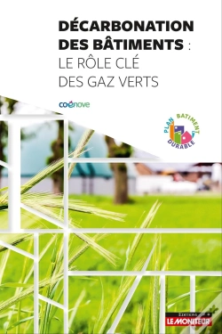 Capa do artigo Décarbonation Des Bâtiments : Le Rôle Des Gaz Verts