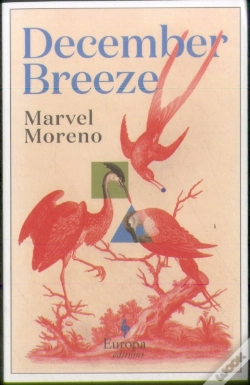 Capa do artigo December Breeze