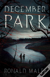 Capa do artigo December Park