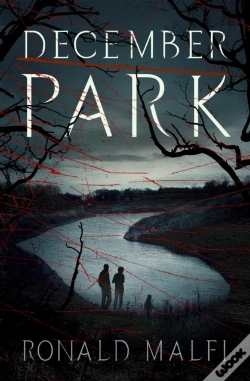 Capa do artigo December Park