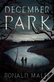 Capa do artigo December Park