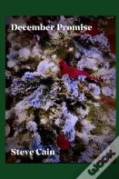 December Promise