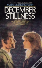 Capa do artigo December Stillness
