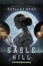 Deception At Sable Hill - Preview