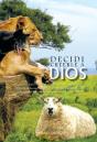 Decidi Creerle A Dios - Preview