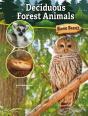 Deciduous Forest Animals - Preview