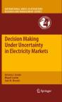 Decision Making Under Uncertainty In Electricity Markets - Preview
