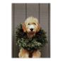 Deck The Paws Notecards - Preview