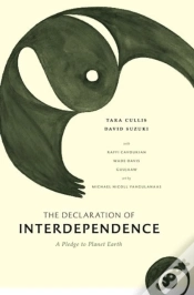 Capa do artigo Declaration Of Interdependence