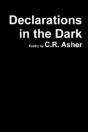 Declarations In The Dark - Preview