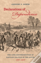 Capa do artigo Declarations Of Dependence