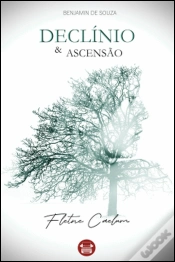 Capa do artigo Declínio e Ascensão