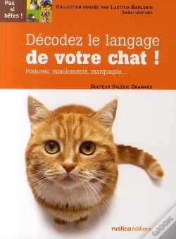 Capa do artigo Décodez Le Langage Du Chat ! Postures, Miaulements, Marquages...