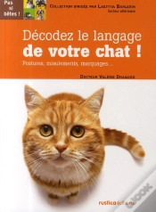 Capa do artigo Décodez Le Langage Du Chat ! Postures, Miaulements, Marquages...