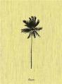 Decoding Palm Culture - Preview