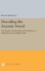 Decoding The Ancient Novel - Preview