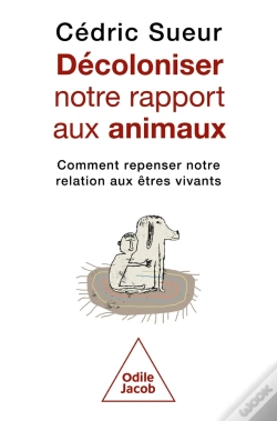 Capa do artigo Décoloniser Notre Rapport Aux Animaux : Comment Repenser Notre Relation Aux Êtres Vivants