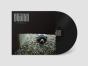 Decompose - Vinil - Preview