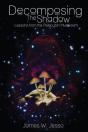 Decomposing The Shadow - Preview