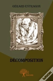 Capa do artigo Decomposition
