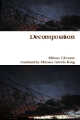 Decomposition - Preview