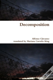 Capa do artigo Decomposition