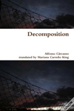 Capa do artigo Decomposition