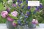 Decorative Flowers - Preview